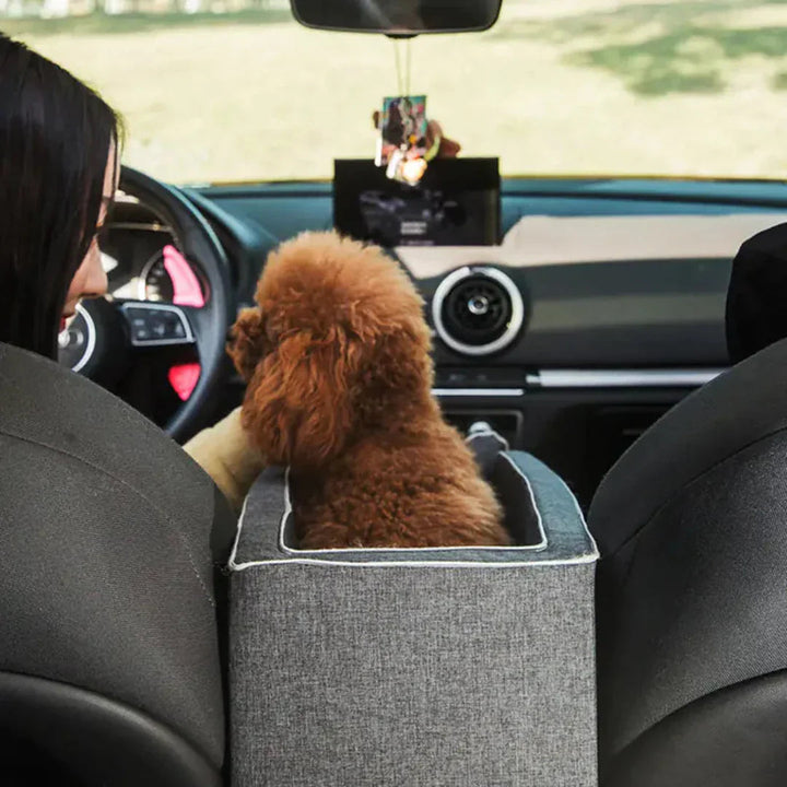 PetCruza_-_Elevated_Dog_Car_Seat_for_Small_Dogs_Up_to_11kg__Comfortable_Booster_Seat_0