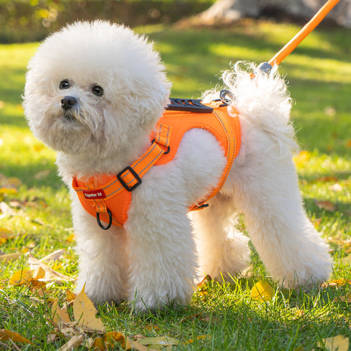 TailMate_-_No_Pull_Dog_Harness_with_Handle_for_Comfortable_and_Safe_Walks_1
